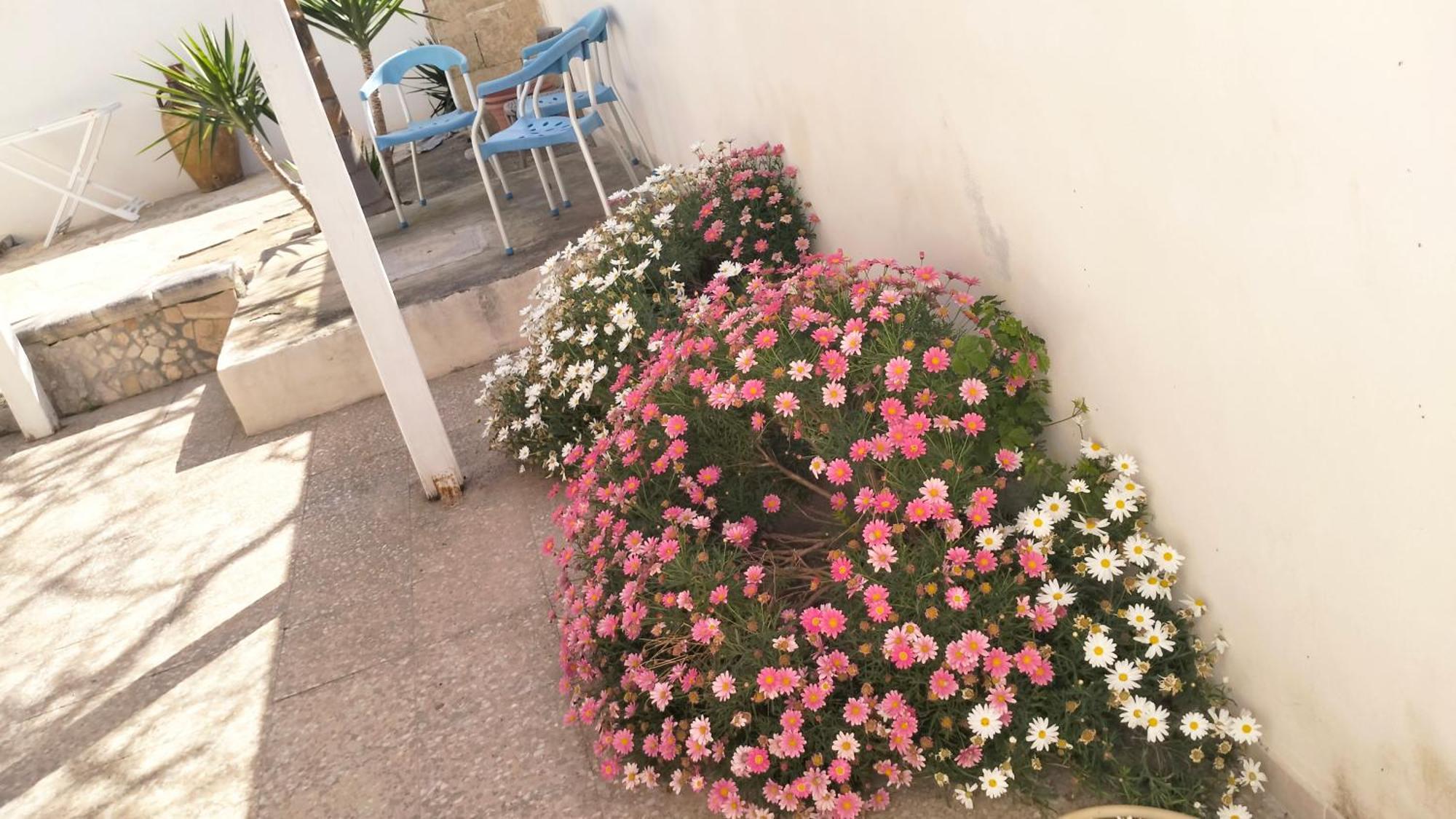 Casa Antonio E Nicoletta Villa Porto Cesareo Exterior photo